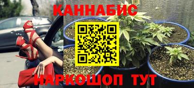 гашишное масло Будённовск